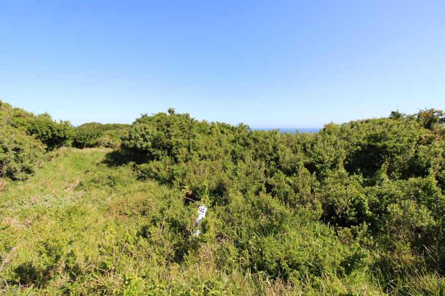 0 Bedroom Property for Sale in Eersterivierstrand Eastern Cape